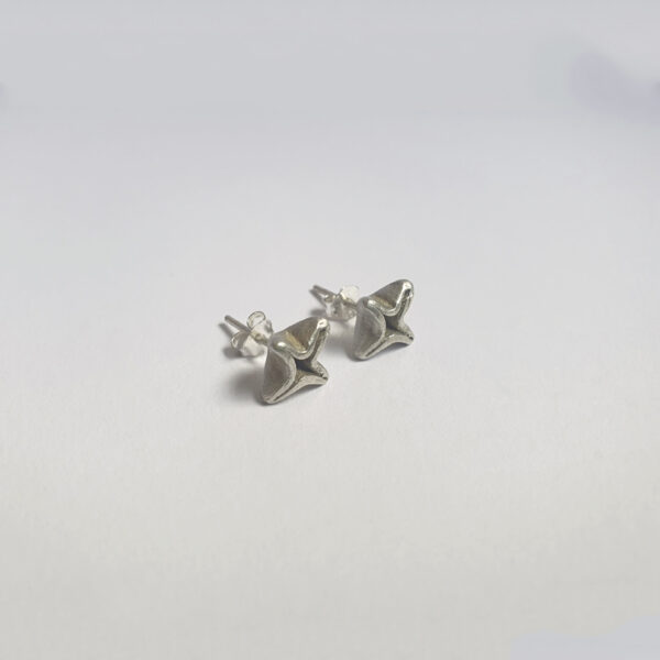 Pendientes ESTRELA